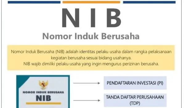 NIB Dikeluarkan oleh Siapa
